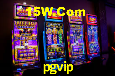 Premium Interface pgvip